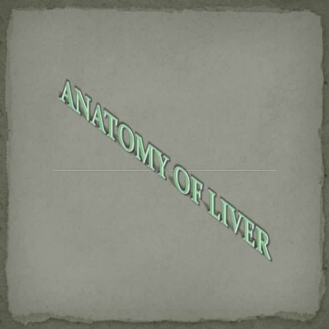 Anatomy of liver