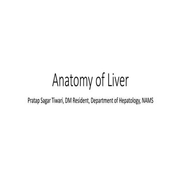Anatomy of liver 