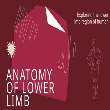 Regional anatomy lower limb. It has everything you need to study lower limb