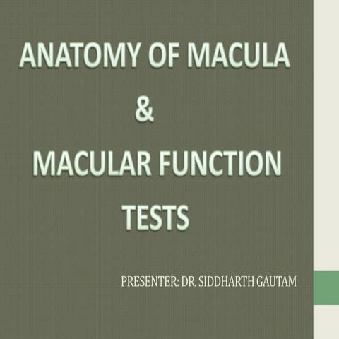 Anatomy of macula