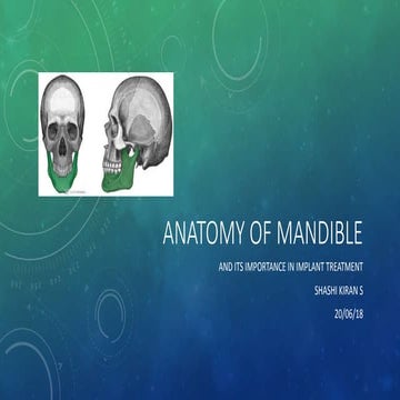 Anatomy of mandible