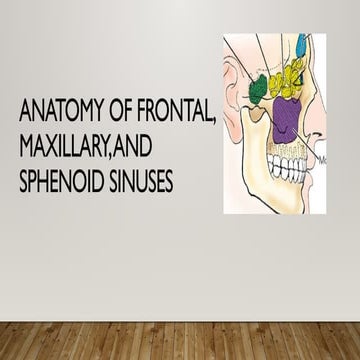 Anatomy of Maxillary, Frontal and Sphenoid sinuses.pptx