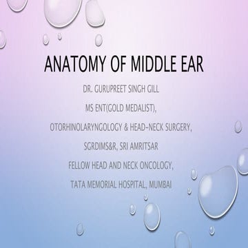 Anatomy of middle ear