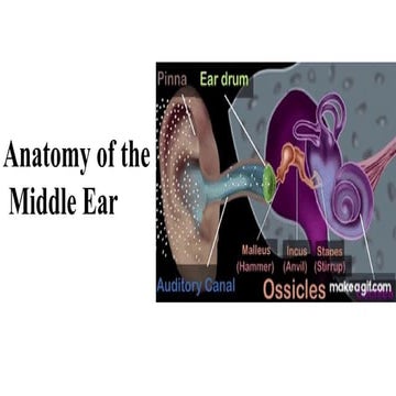 Anatomy of Middle Ear by Dr. Rushikesh Munde | PPTX