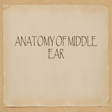 Comprehensive Anatomy and Physiology of the Middle Ear | PPTX
