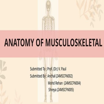 ANATOMY OF MUSCULOSKELETAL.pptx The muscle
