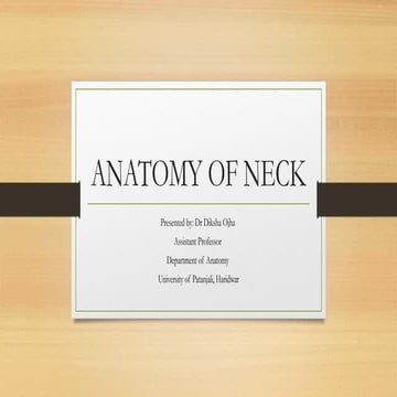 TRIANGLES OF NECK | PDF