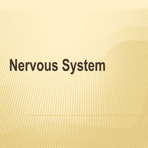 Anatomy of nervous system