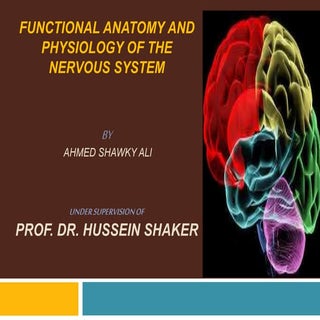 Functional Anatomy of nervous syste...
