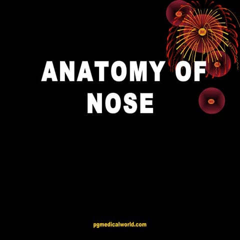 Anatomy of nose