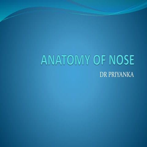 Anatomy of nose