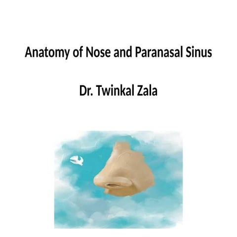 anatomy of Nose deep knowledge of nose anatomy