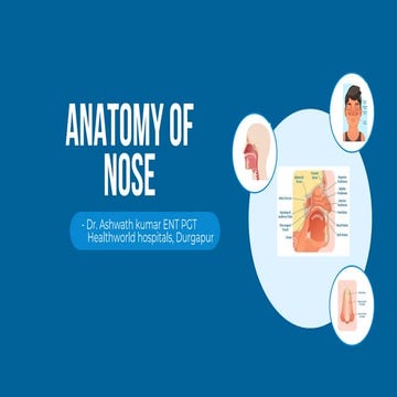 Anatomy of nose | PPTX