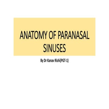 ANATOMY OF NOSE AND PARANASAL SINUSES.pptx