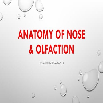 ANATOMY OF NOSE | PDF