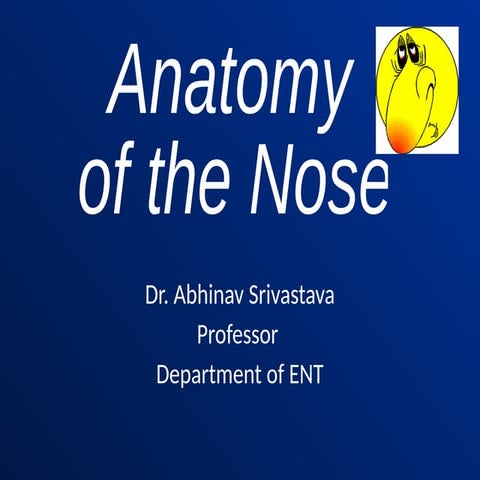 Comprehensive Anatomy and Physiology of the Nasal Cavity and External ...