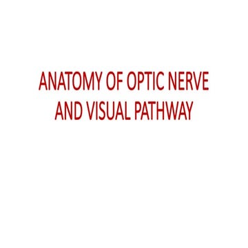 ANATOMY OF OPTIC NERVE AND VISUAL PATHWAY-1.pptx