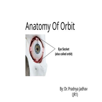 Anatomy OF ORBIT | PPTX