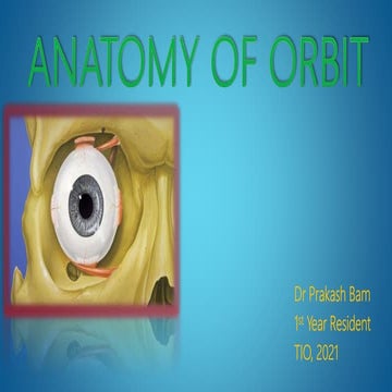 Anatomy of orbit by Dr.Prakash Bam | PPTX