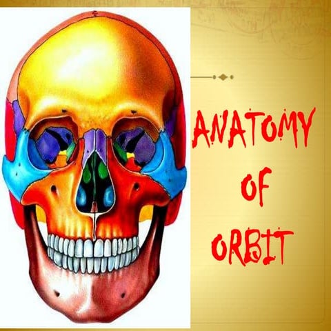 Anatomy of orbit sivateja