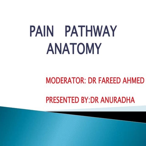 Anatomy of pain pathway Biology Diagrams