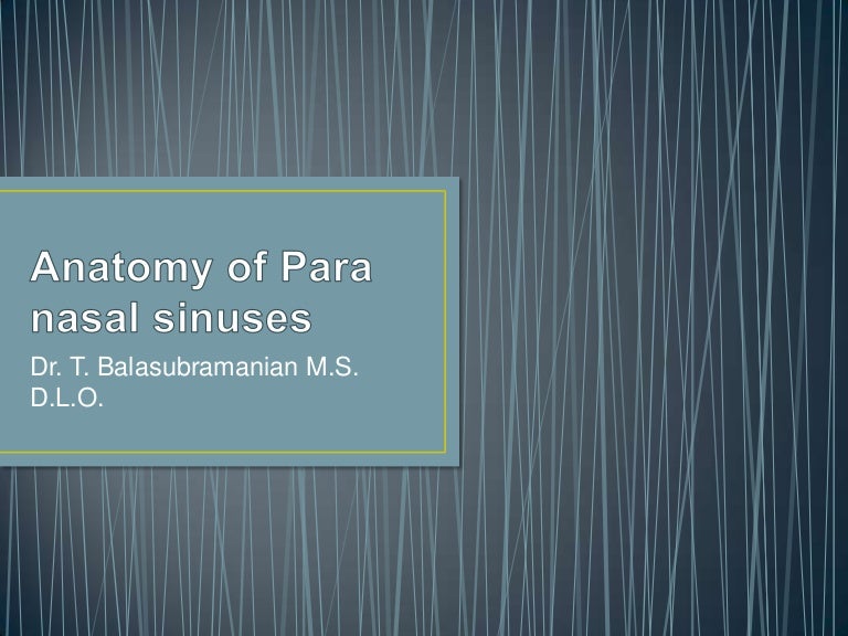 Anatomy Of Para Nasal Sinuses