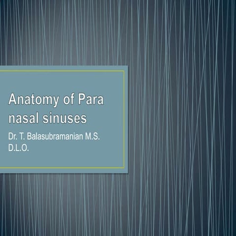 Anatomy of para nasal sinuses