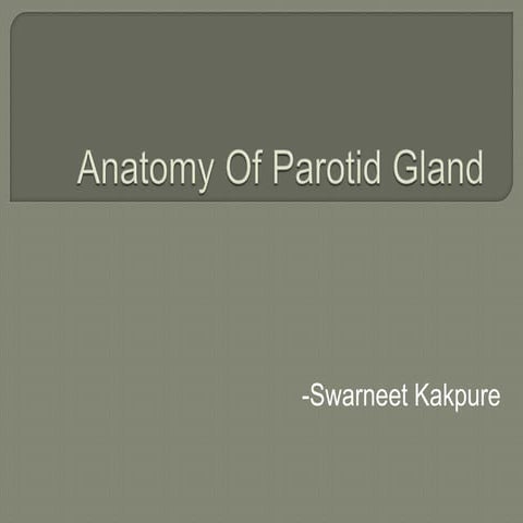 Anatomy of parotid gland
