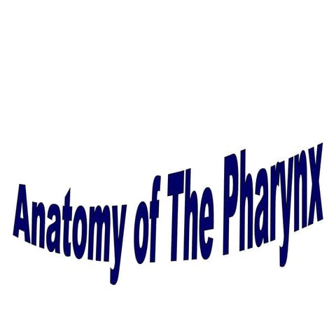 Anatomy of pharynx dr.bakshi - 11.07.16
