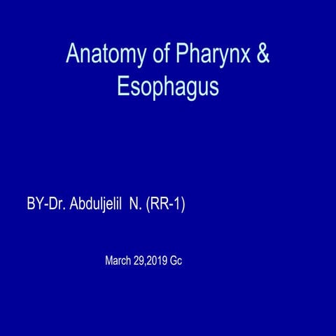 Radiological Anatomy of pharynx and esophagus abdul final