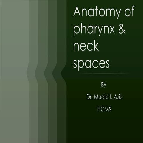 E.N.T.Anatomy of pharynx & neck spaces(dr.muaid) | PPTX