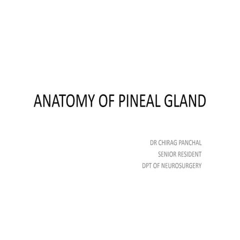 Anatomy of Pineal Gland | PPTX