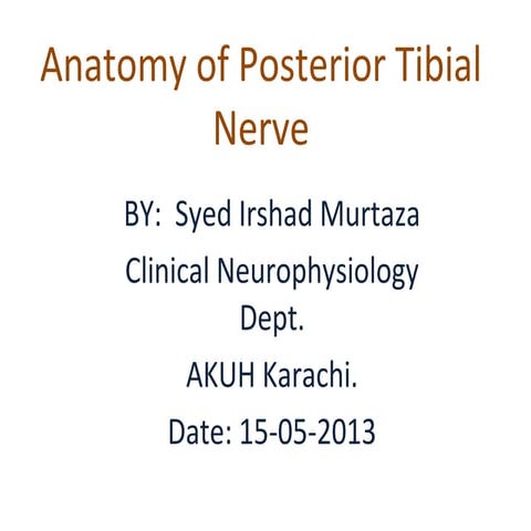 Anatomy of posterior tibial nerve by im