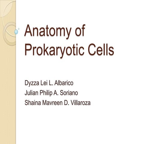Anatomy of prokaryotic cells | PPTX