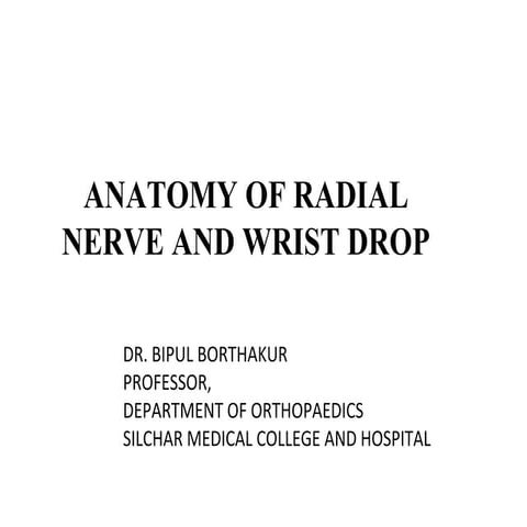 Anatomy of radial nerve and wrist drop