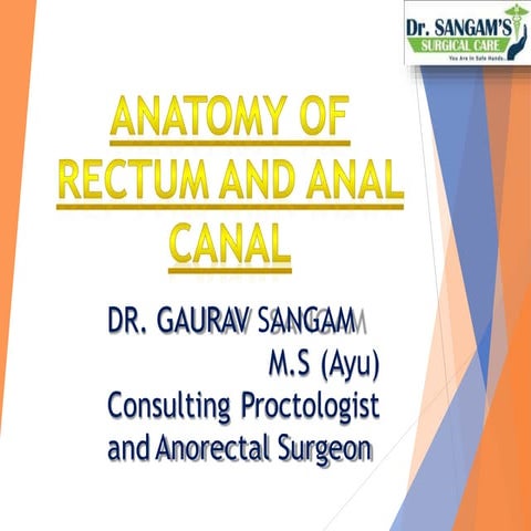 anatomy of rectum and analcanal pptx.pptx