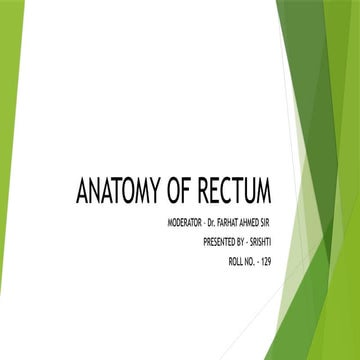 Anatomy of Rectum | PPTX