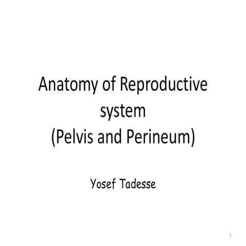 Anatomy of reproductive system (2).pdf anat | PDF