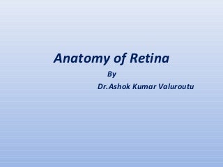 'anatomy of retina' on SlideShare