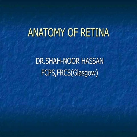Anatomy of Retina