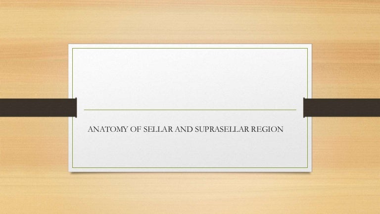 Anatomy of sellar suprasellar region