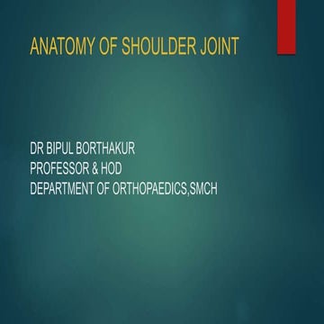 Anatomy of shoulder joint
