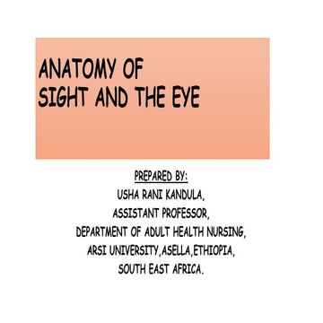 Anatomy of sight and the eye