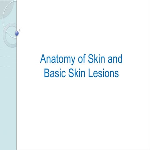 1. Basic structures and functions of skin | PPTX