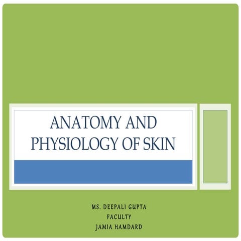 Anatomy of skin