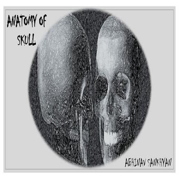 ANATOMY OF SKULL .pptx