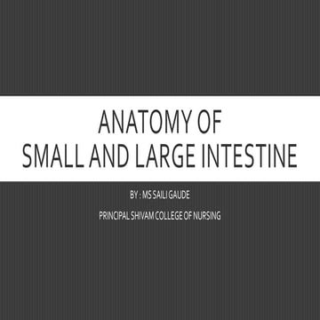 ANATOMY OF SMALL INTESTINE -presentation