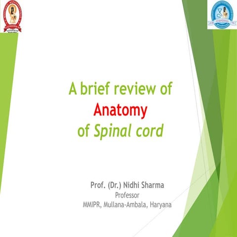 Anatomy of spinal cord.ppt
