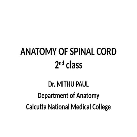 Laminae Of Spinal Cord | PDF