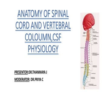 ANATOMY OF SPINAL CORD AND VERTEBRAL COLOUMN ,.pptx